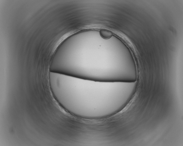 X0000115831337200911131119