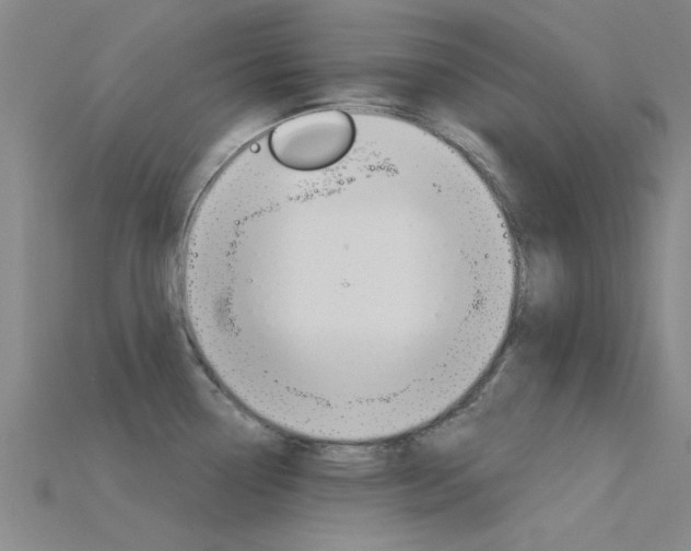 X0000115831338200911131119
