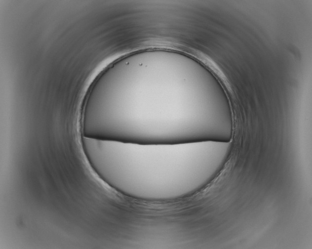 X0000115831339200911131119