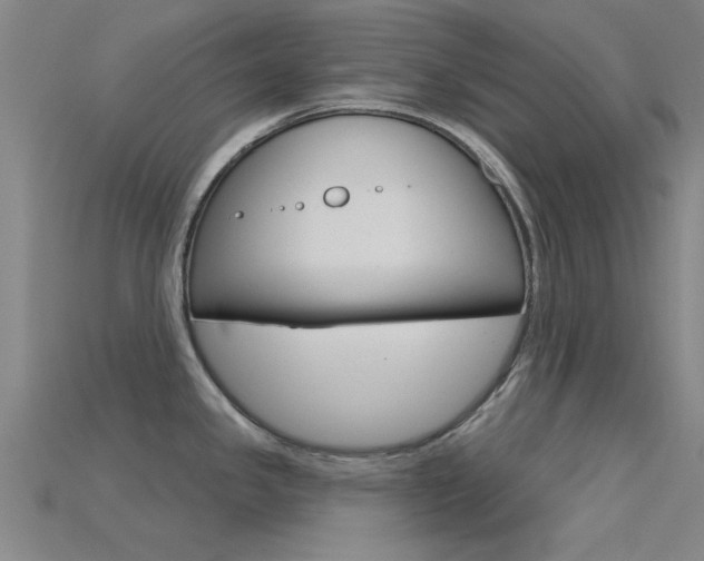 X0000115831341200911131119