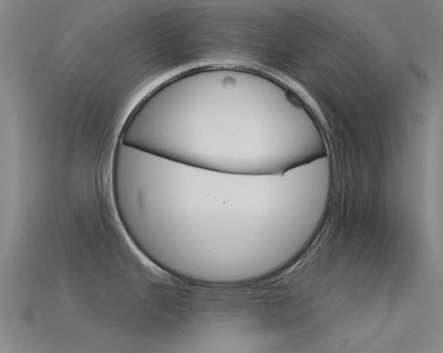 X0000115831343200911131119