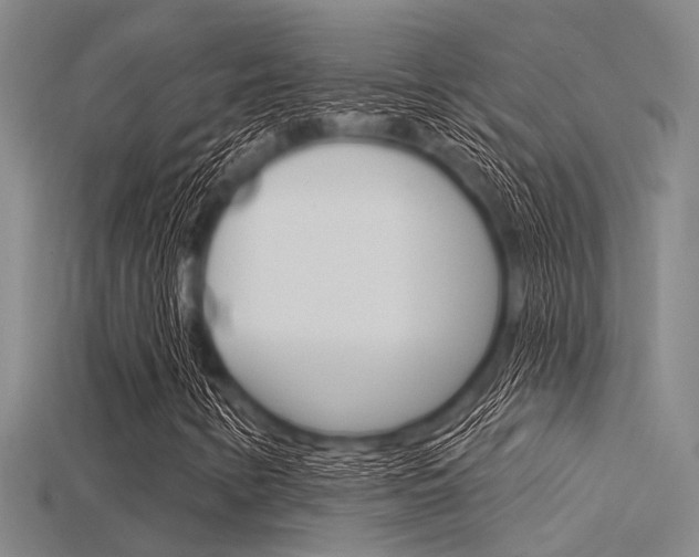 X0000115831346200911131119