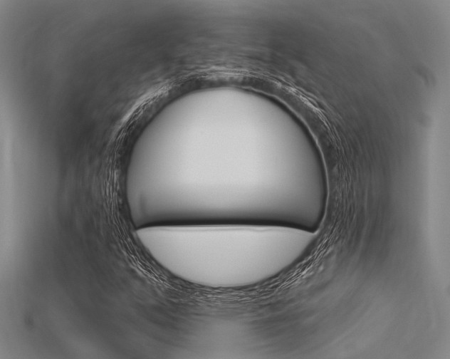 X0000115831351200911131119