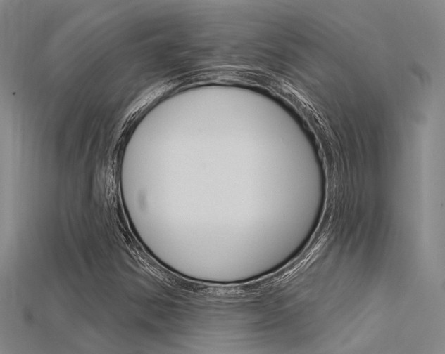 X0000115831354200911131119