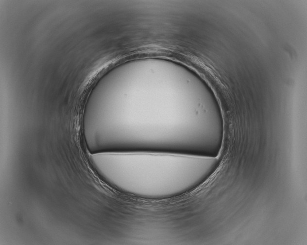 X0000115831355200911131119