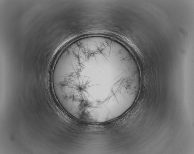 X0000115831356200911131119