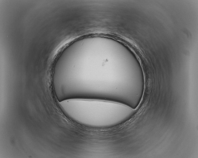X0000115831359200911131118
