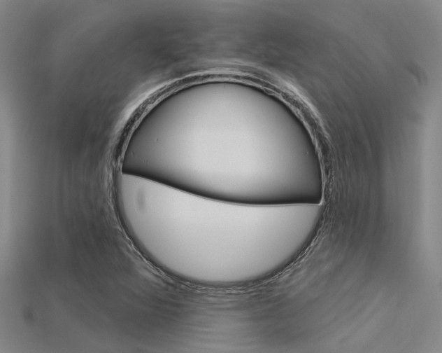 X0000115831360200911131118