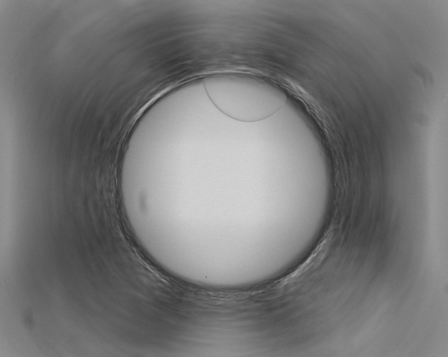 X0000115831361200911131118