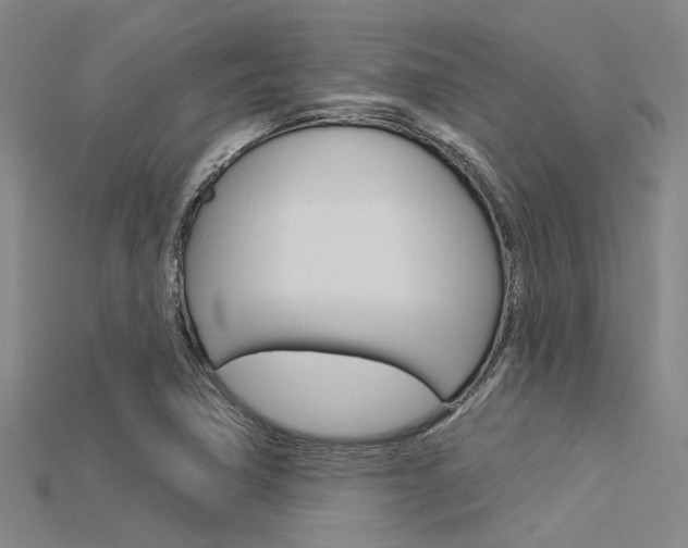 X0000115831362200911131118