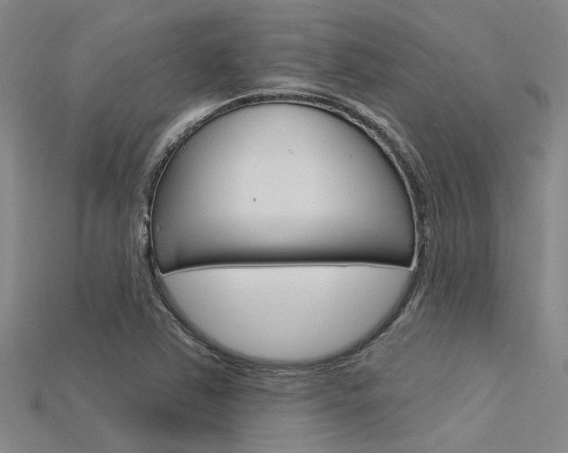 X0000115831363200911131118