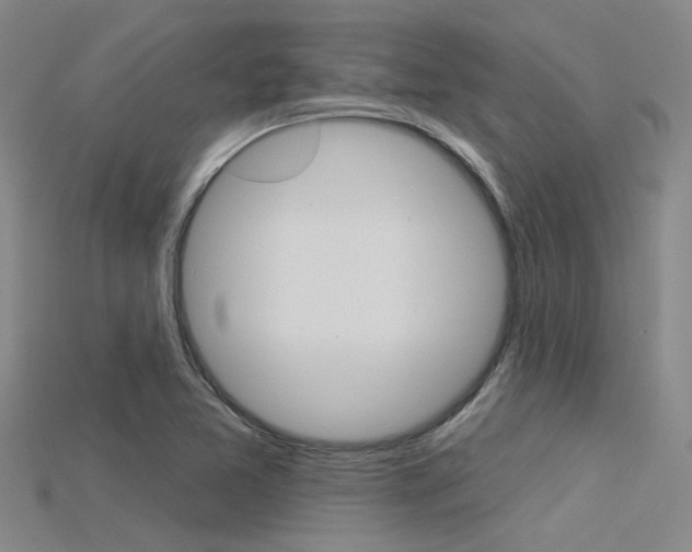 X0000115831365200911131118