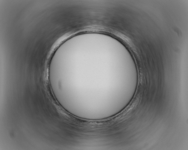 X0000115831366200911131118