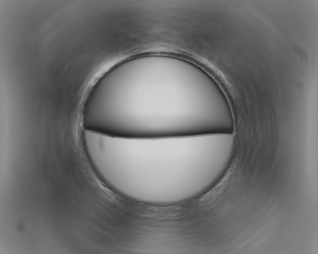 X0000115831367200911131118