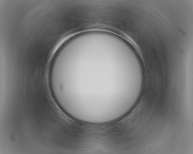 X0000115831368200911131118