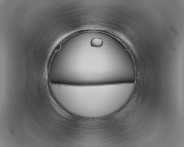 X0000115831372200911131118
