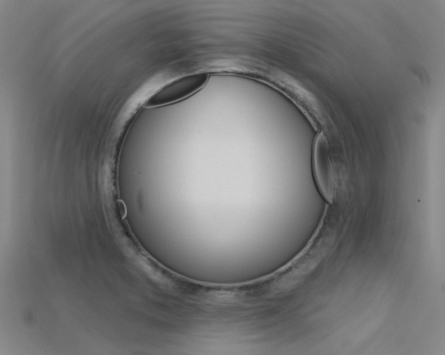 X0000115831373200911131118