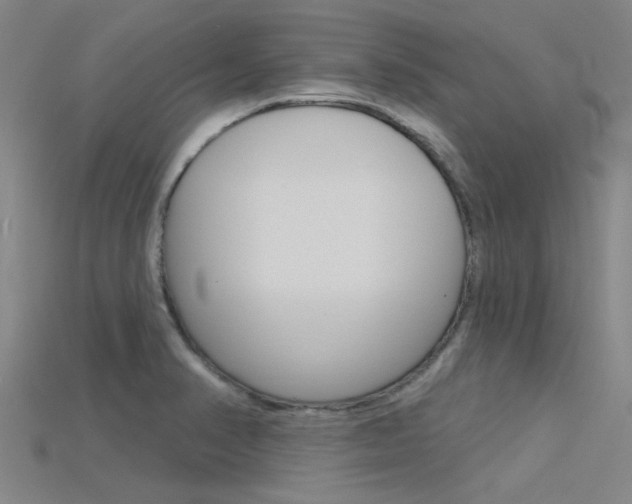 X0000115831374200911131118