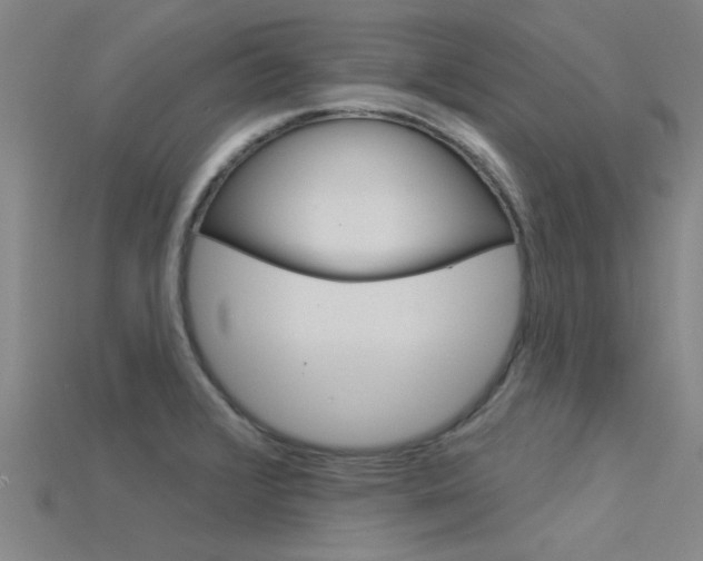 X0000115831376200911131118
