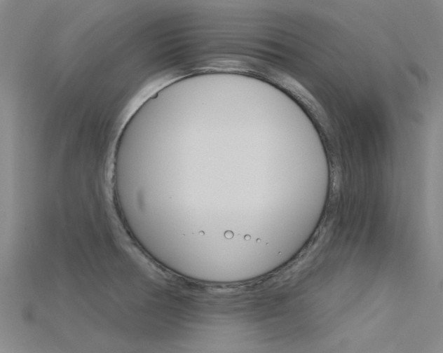 X0000115831378200911131118