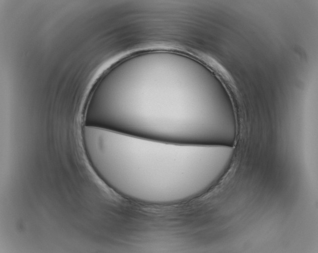 X0000115831380200911131118