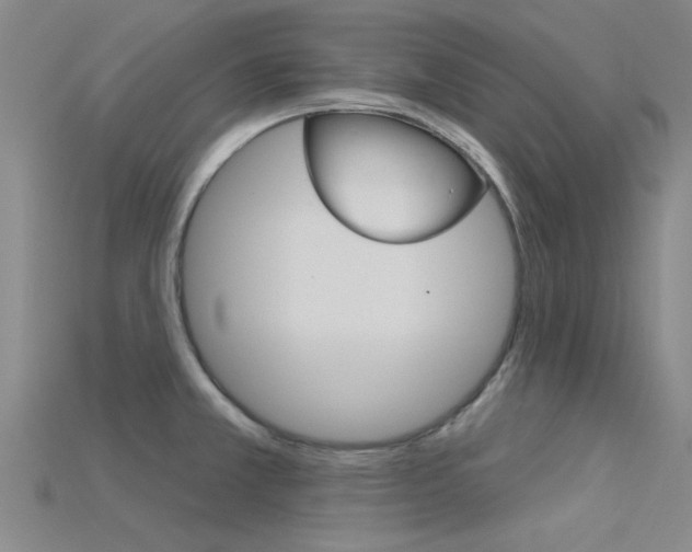 X0000115831381200911131118