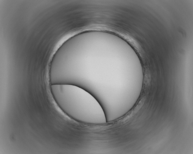 X0000115831382200911131118