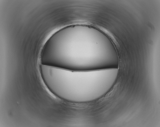 X0000115831383200911131118
