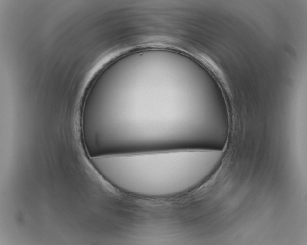 X0000115831384200911131118