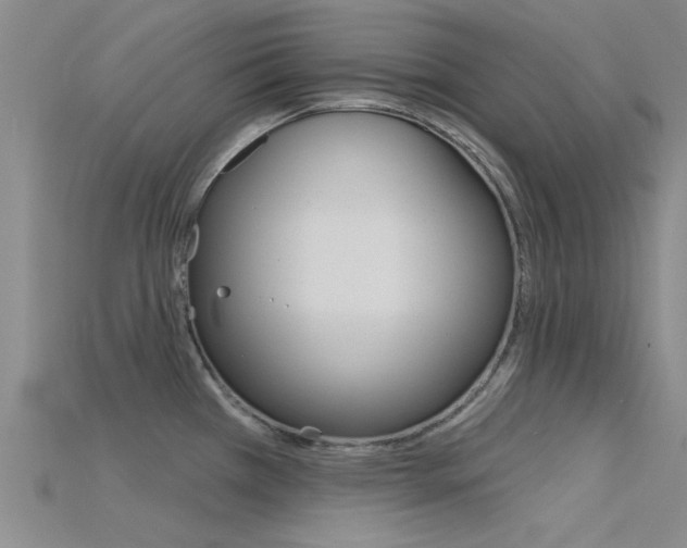 X0000115831385200911131118