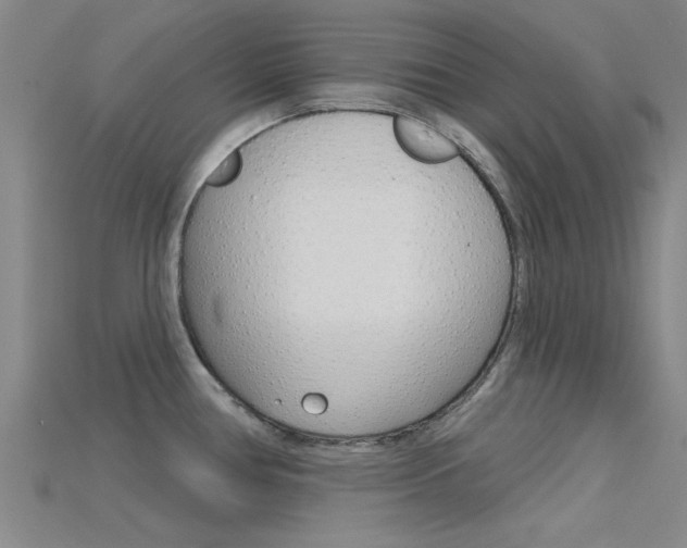 X0000115831386200911131118