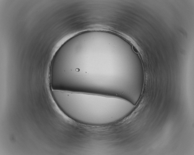 X0000115831387200911131118