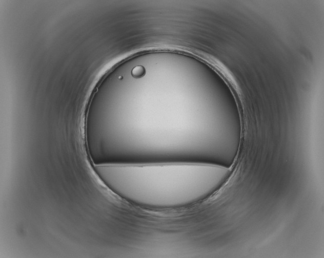 X0000115831388200911131118