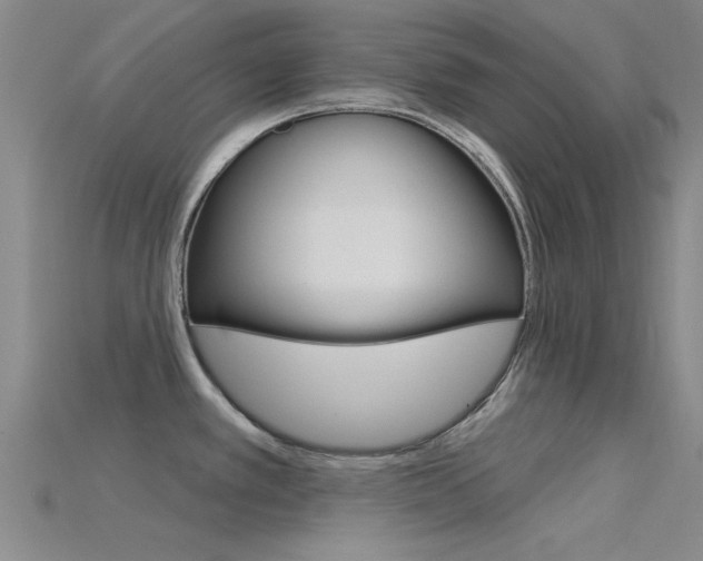 X0000115831389200911131118