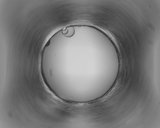 X0000115831390200911131118