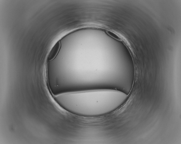 X0000115831391200911131118
