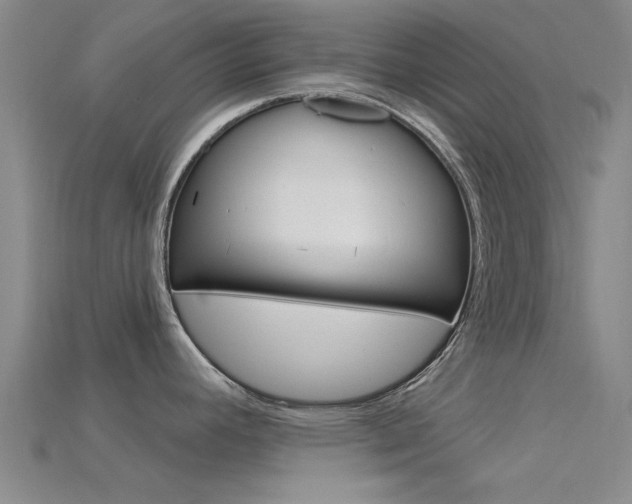 X0000115831392200911131118