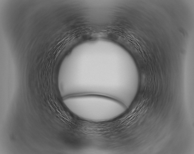 X0000115831393200911131117