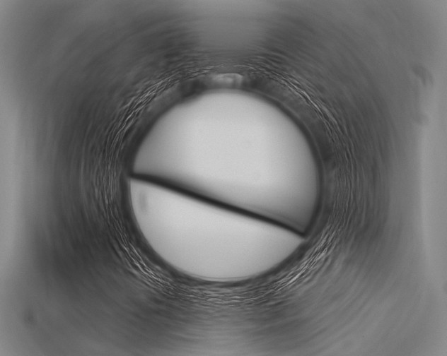 X0000115831394200911131117