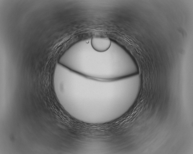 X0000115831398200911131118