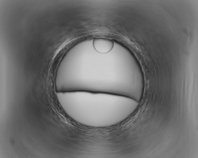 X0000115831400200911131118