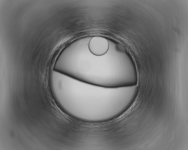 X0000115831402200911131118