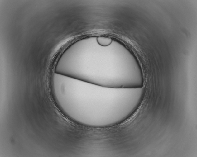 X0000115831406200911131118