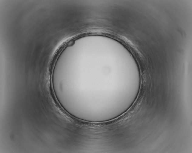 X0000115831408200911131118