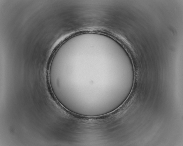 X0000115831412200911131118