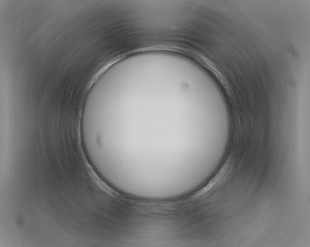 X0000115831417200911131118