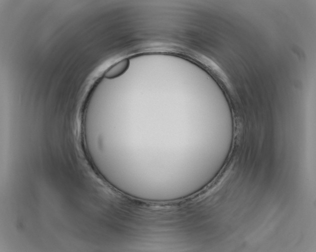 X0000115831419200911131118