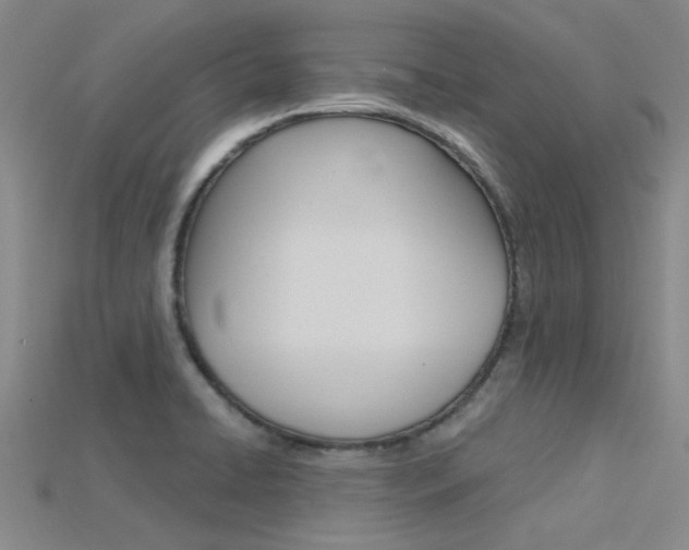 X0000115831422200911131118