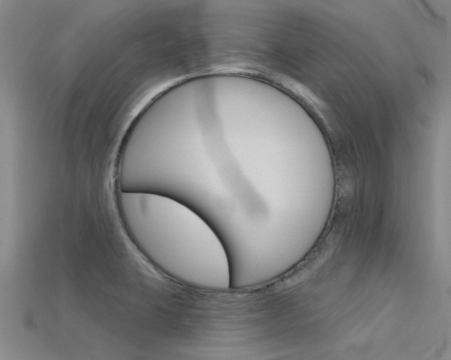 X0000115831423200911131118