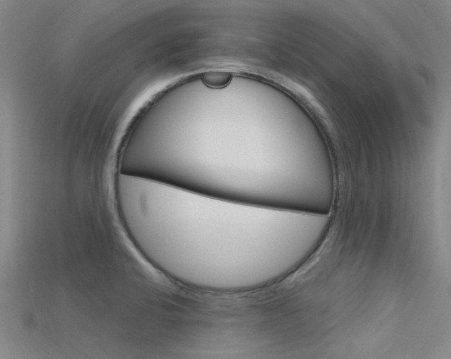 X0000115831424200911131118
